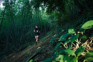 BIB: 
                            <button type="button" onclick="openModal(28124364)" class="btn btn-primary btn-sm float-right btn-popup" data-toggle="modal" data-target=".modal-high-quality">
                        <i class="fas fa-shopping-cart"></i> Add to Cart
                    </button>
                                            <button type="button" onclick="isThisMe(28124364, true)" class="btn btn-success btn-sm float-right btn-popup btn-isme hidden" data-toggle="tooltip" data-placement="bottom" title="นี่คือรูปของคุณใช่ไหม คลิกที่นี่เพื่อเอาเข้าอัลบั้ม">
                        <i class="fas fa-plus"></i> Add to album
                    </button>
                    <button type="button" onclick="isThisMe(28124364, false)" class="btn btn-warning btn-sm float-right btn-popup btn-isnotme hidden">
                        <i class="fas fa-ban"></i> Remove from album
                    </button>